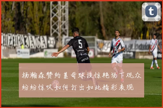 杨瀚森赞约基奇球技惊艳场下观众纷纷惊叹如何打出如此精彩表现