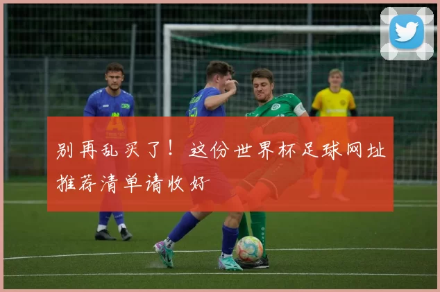 别再乱买了!这份世界杯足球网址推荐清单请收好