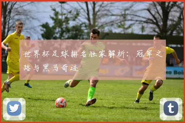 世界杯足球排名独家解析：冠军之路与黑马奇迹