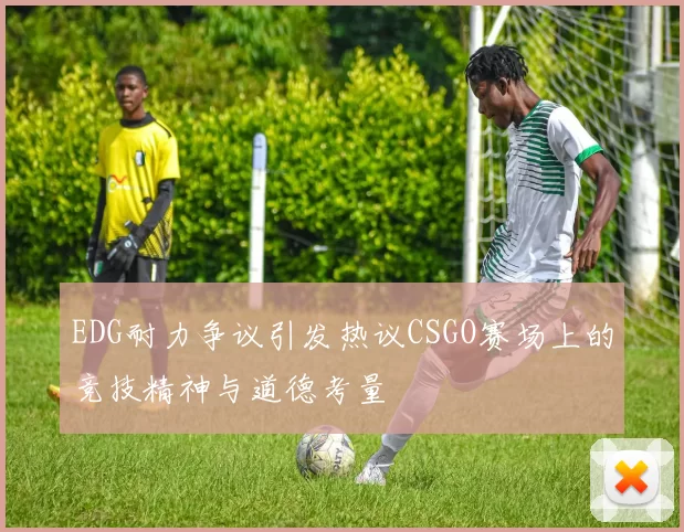 EDG耐力争议引发热议CSGO赛场上的竞技精神与道德考量