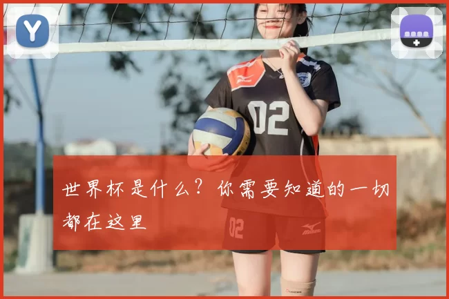 世界杯是什么？你需要知道的一切都在这里