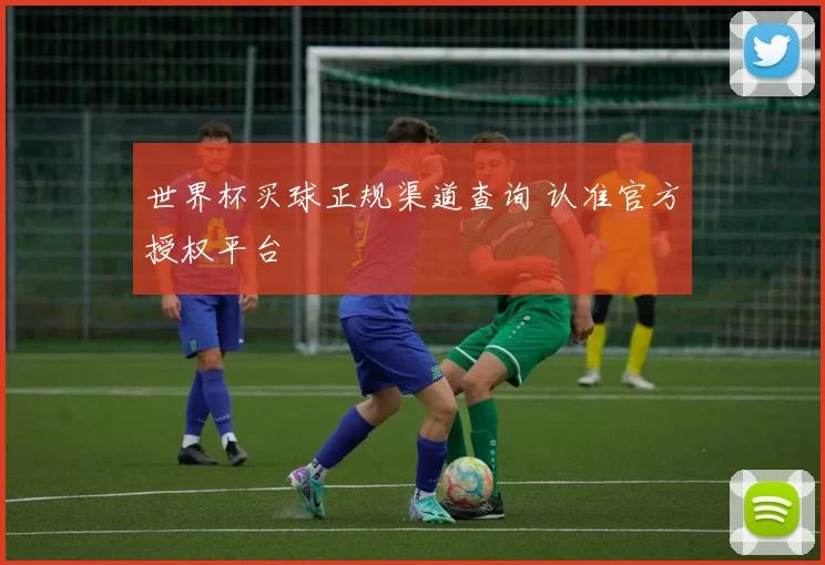 世界杯买球正规渠道查询 认准官方授权平台