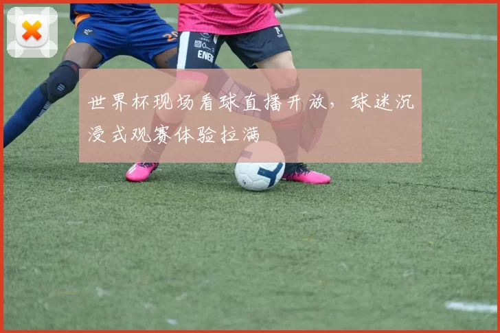 世界杯现场看球直播开放,球迷沉浸式观赛体验拉满