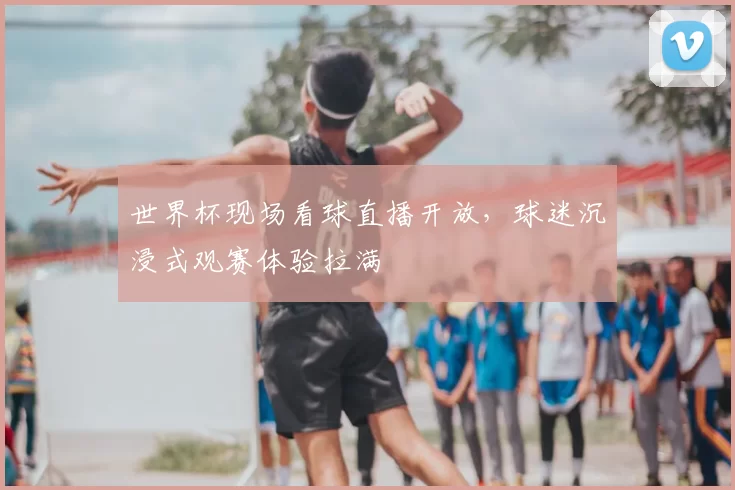 世界杯现场看球直播开放，球迷沉浸式观赛体验拉满