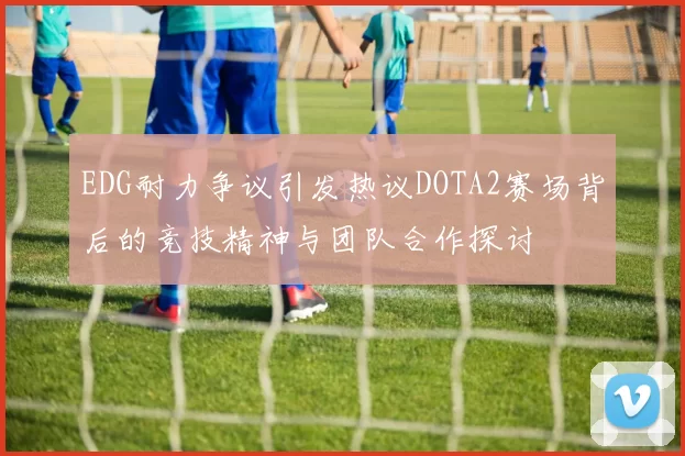EDG耐力争议引发热议DOTA2赛场背后的竞技精神与团队合作探讨