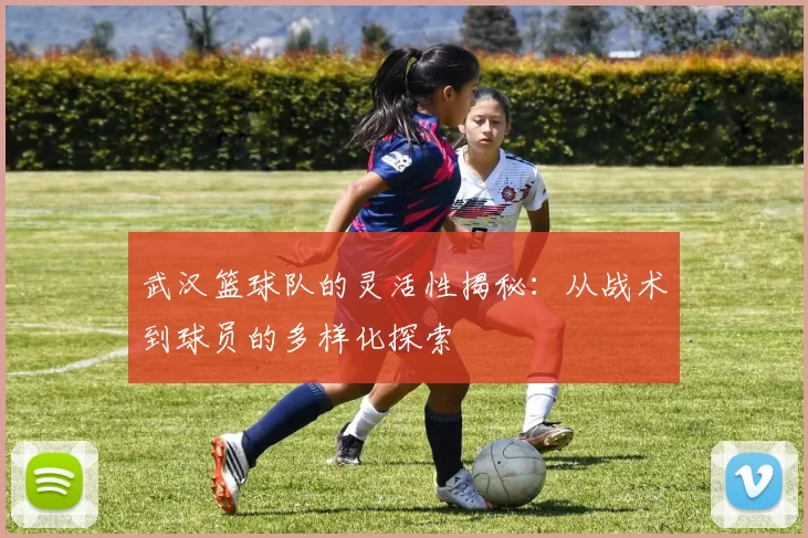武汉篮球队的灵活性揭秘:从战术到球员的多样化探索