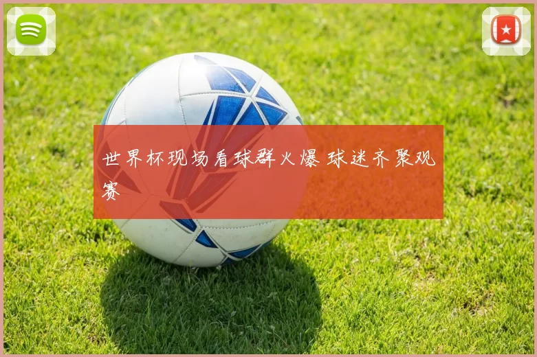 世界杯现场看球群火爆 球迷齐聚观赛