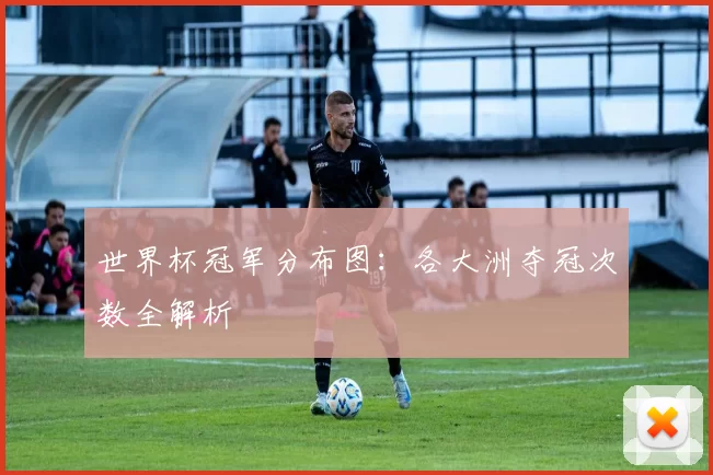 世界杯冠军分布图：各大洲夺冠次数全解析