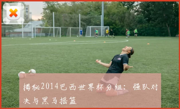 揭秘2014巴西世界杯分组：强队对决与黑马摇篮