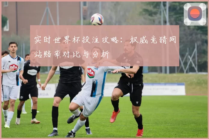实时世界杯投注攻略：权威竞猜网站赔率对比与分析