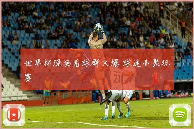 世界杯现场看球群火爆 球迷齐聚观赛