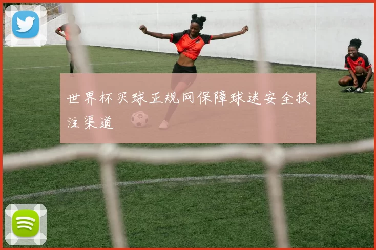世界杯买球正规网保障球迷安全投注渠道