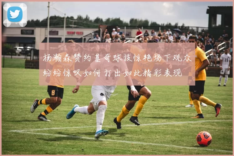 杨瀚森赞约基奇球技惊艳场下观众纷纷惊叹如何打出如此精彩表现