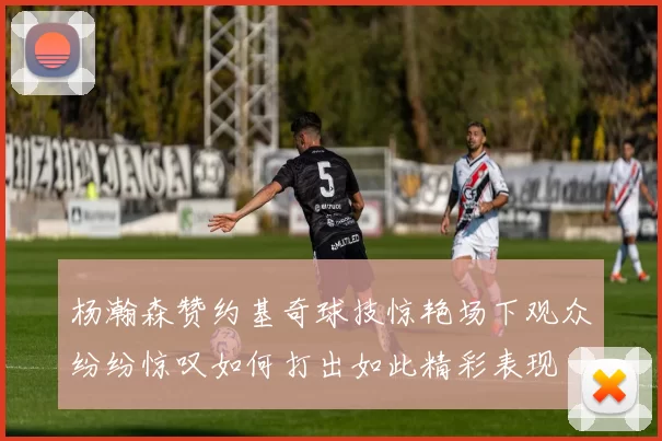 杨瀚森赞约基奇球技惊艳场下观众纷纷惊叹如何打出如此精彩表现