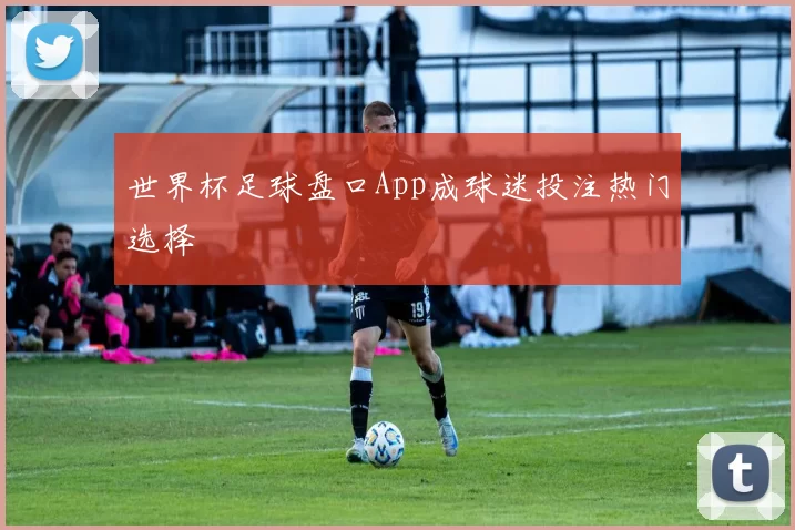 世界杯足球盘口App成球迷投注热门选择
