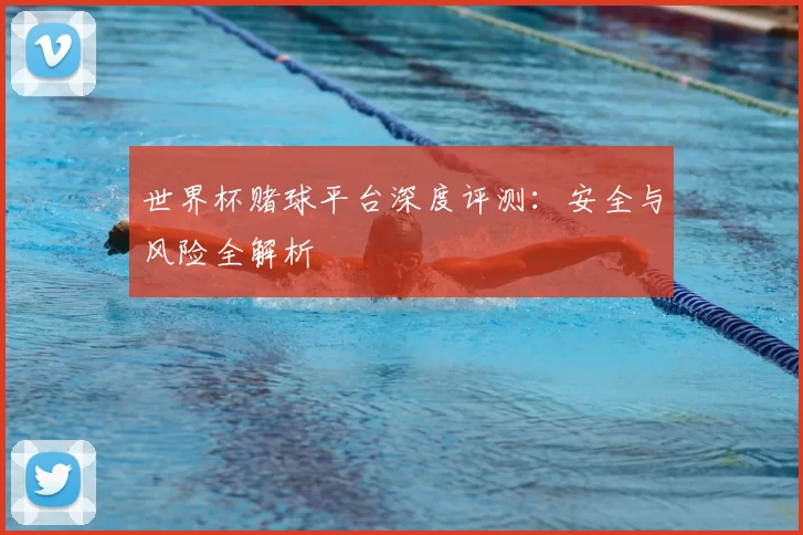 世界杯赌球平台深度评测:安全与风险全解析