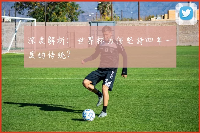 深度解析：世界杯为何坚持四年一度的传统？